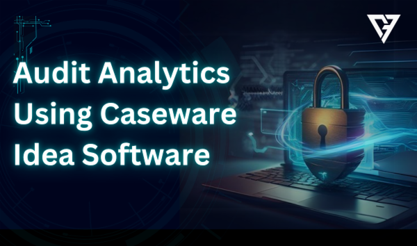 Audit Analytics Using Caseware Idea Software